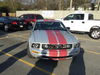 Filename=Warriors_in_Pink_Mustang_004.JPG
Filesize=626KB
Dimensions=1600x1200
Date added=Nov 10, 2008 Warriors_in_Pink_Mustang_004.JPG
