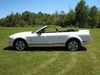 Filename=mdm-1068-08mustang_jm_007-1068.jpg
Filesize=25KB
Dimensions=250x188
Date added=Nov 01, 2009 mdm-1068-08mustang_jm_007-1068.jpg