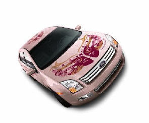 Pink ford emblem for fusion #8